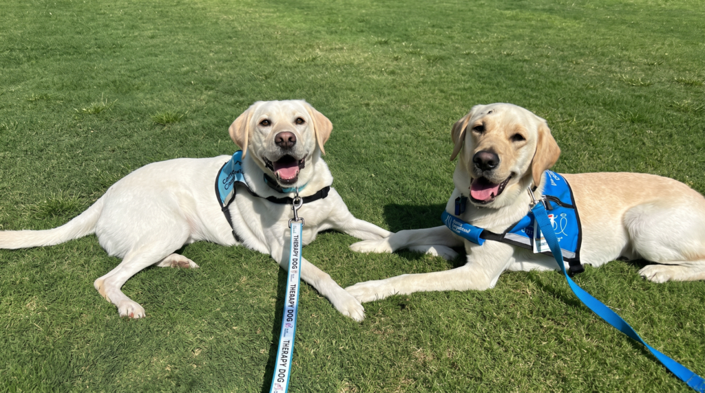 Elena with her son Boris , a facility dog at Children's Memorial Hermann Hospital